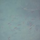 삼정참펜션 이미지