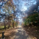 날씨가 깡패... 이미지