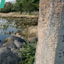 제주파도소리와 돌공원 이미지