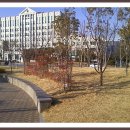 부경대학교(대연캠퍼스) 이미지