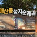 성지순례길 이미지