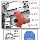 봉황PC게임 이미지