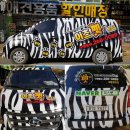 이츠펫(진천점) 이미지