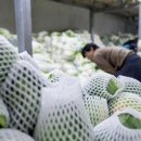 해현유통 이미지