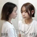 신세계미용실 이미지