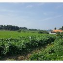 화옹지구공인중개사사무소 이미지