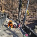 알찬어린이집 이미지