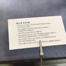 모블링슈왁싱