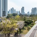 죽백근린공원 이미지