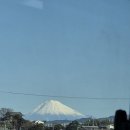 수원-1230 | 1월 월간 일기 : 시즈오카 백패킹 한국먹방일지 코론 프리다이빙