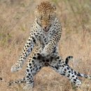 천마농장 이미지