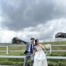 다영목장 이미지