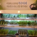 은근채 쌈&고기 Daum카페