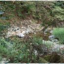 화악산장 이미지