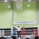 대치생활복싱 | 복싱 5개월, 첫 생활체육복싱대회 참가 후기