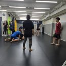 트윈스 MMA 이미지