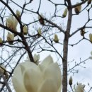 하천리-5 이미지