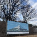 국립청주박물관 | 국립청주박물관 특별전 후기 | 후지산에 오르다 야마나시