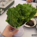 고돼지청주