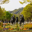 새싹공원(박물관공원 옆) 이미지