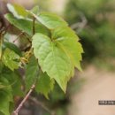 바다에 누워 이미지