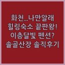 솔골펜션 | 화천 조용한 힐링 숙소 추천 이층달빛펜션 힐링솔골산장 위치 및 장점 후기 상세 정리