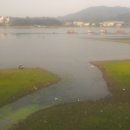 염치 낚시터 이미지