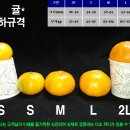 형제청과 - 청주시 상당구 상당로13번길 15 | 형제청과