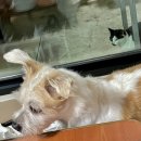 욕지섬펜션 이미지