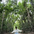 포레스트안경 이미지