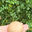 보령농장 이미지