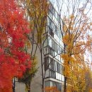 만수로 50번길 이미지