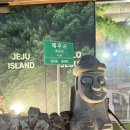 GS25당진우두점 | [당진 맛집] 제줏간 당진점 : 입구부터 내부까지 제주 감성 가득한 숙성 고깃집