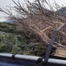 도심 - 공간 이미지