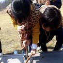 오이도선사유적공원 이미지