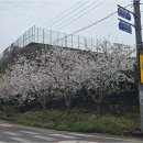 선덕암
