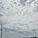 백사우체국 | 4박 5일 뚜벅뚜벅 혼자 제주도 동쪽 여행(2) 우도 1박/우도에서 종달