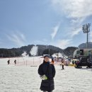 용평리조트 이미지