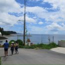 서퍼랜드 이미지