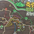 장성시내길 이미지