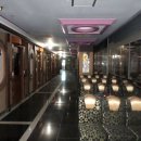 잠보나이트 이미지