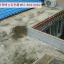편백로-2 이미지