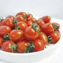 토마토2 이미지