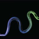 강화자연사박물관 이미지