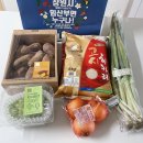 소답동112 | 임신24주차 / 임신중기 / 세 번째 주수사진 촬영! 23주 지나서 셀프로 태아보험 가입하기!(보험다모아...