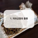 새하양서울치과의원 이미지