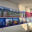 선옥회수산