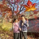 가람스테이3 | [구례] 천은사 템플스테이 대만족 후기 🍁