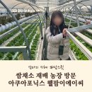 아이들과 아쿠아포닉스 농장 방문 웰팜이에이씨