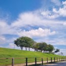 소소5층 이미지